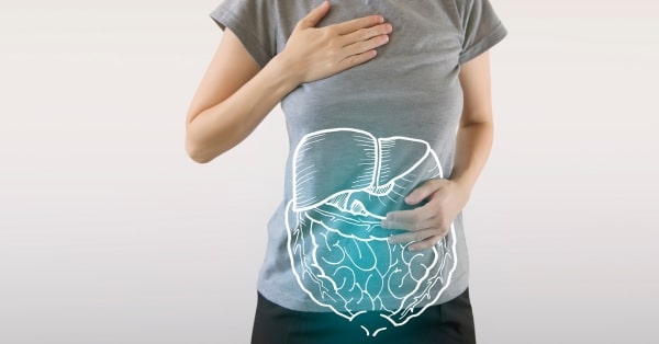 איך המים משפיעים על מערכת העיכול?