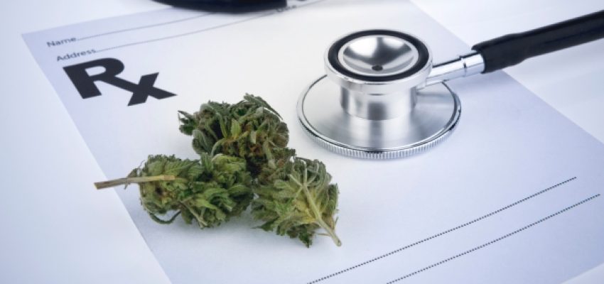 איך לגלות היכן יש מלאי קנאביס רפואי זמין