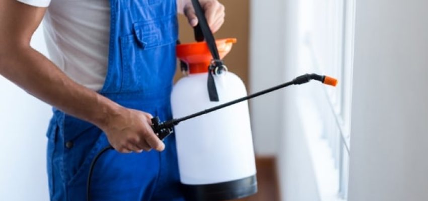 הדברה למסעדות ומפעלי מזון